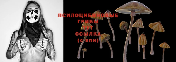 винт Абинск