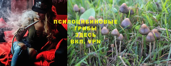 ALPHA PVP Алексин